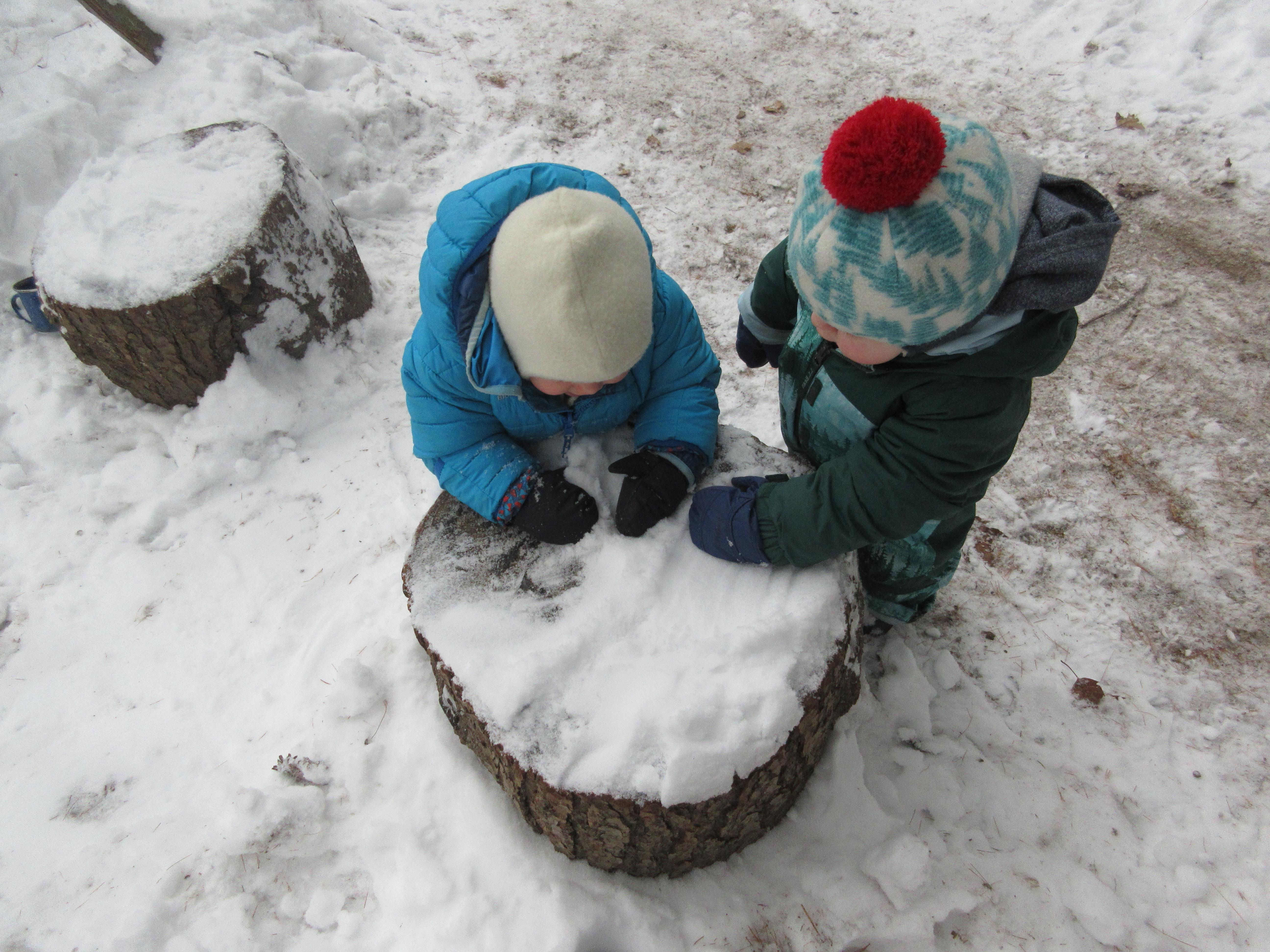 Nature Based Learning